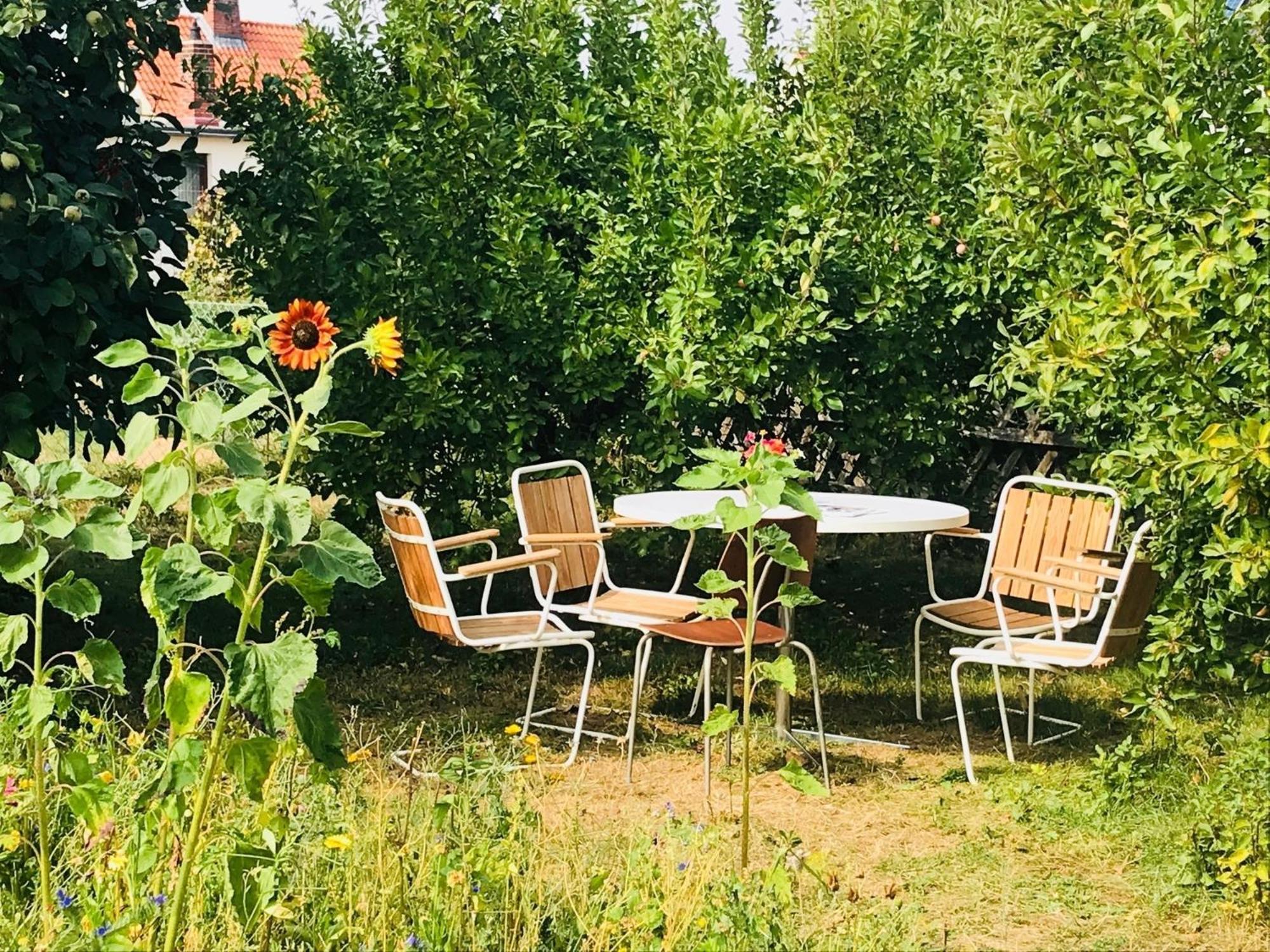 Casa Marcu Wohnung 1 Og Landkirchen Exteriör bild